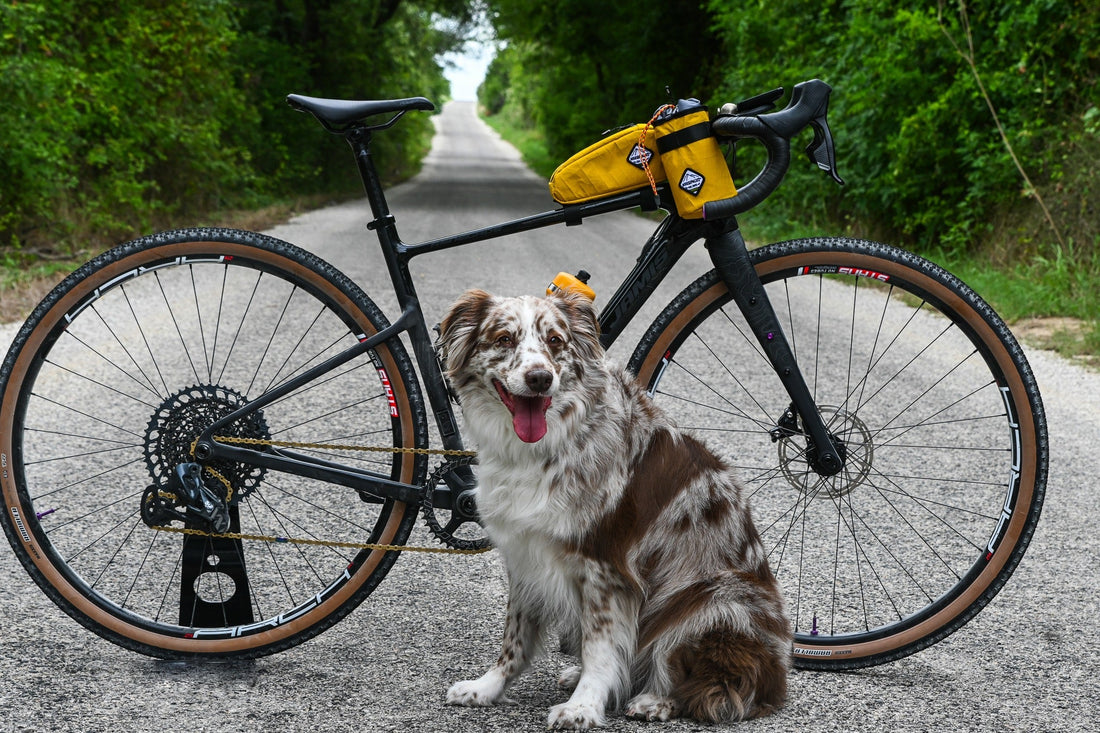 Bike Rumor review on MoosePacks