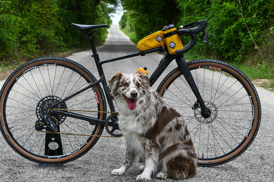 Bike Rumor review on MoosePacks